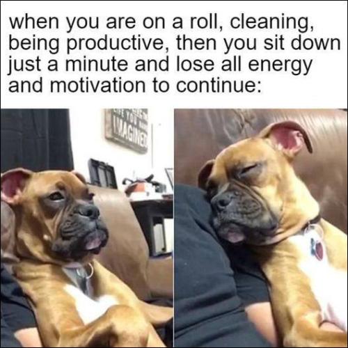when you are on a roll