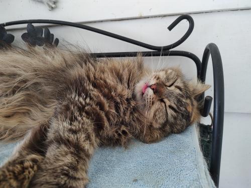 IMG_20220531_124520378