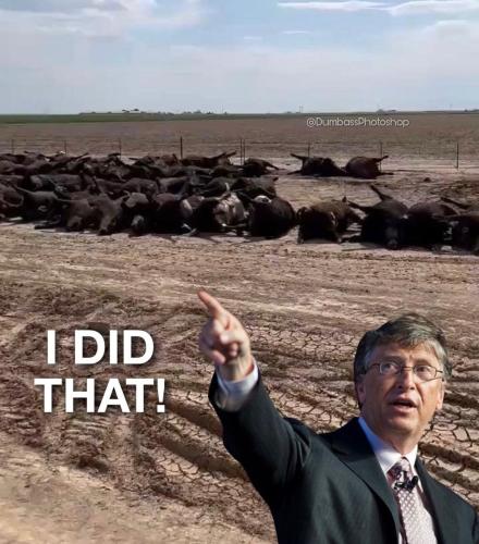 Screenshot_20220617-173033_Instagram