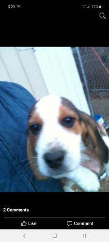 Screenshot_20201108-152520_Facebook