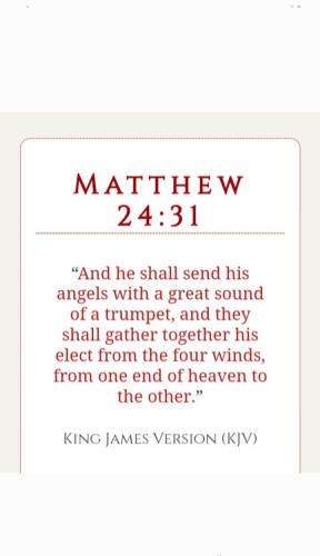 Screenshot_20220614-122642_Gallery