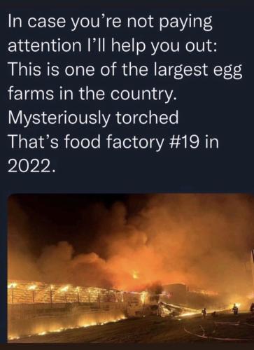 Screenshot 2022-06-06 at 12.23.47 PM