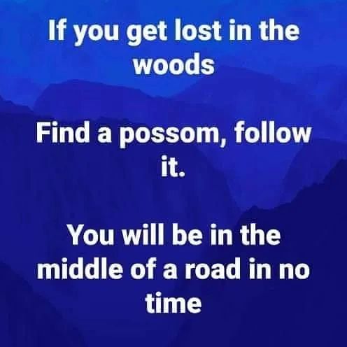 285489246_5341100295935992_5747540804304987408_n