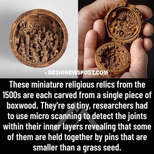 288800888_1667404756961262_5765311662913036518_n