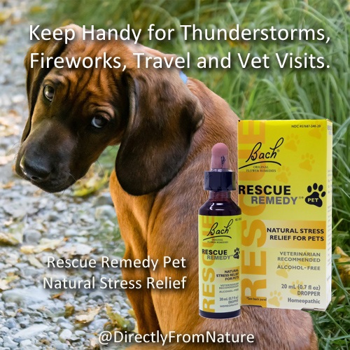 Rescue Remedy Pet 4th of July version 008_b