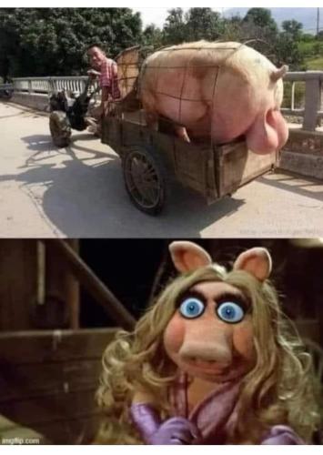 FB_IMG_1656183283175