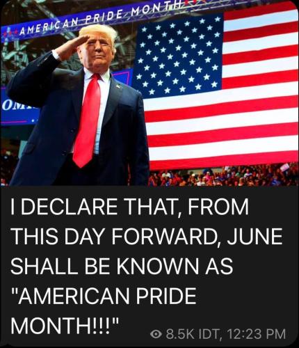 American Pride 1