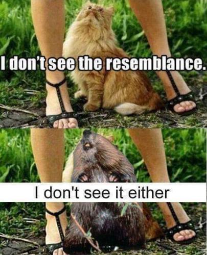 FB_IMG_1655478146797