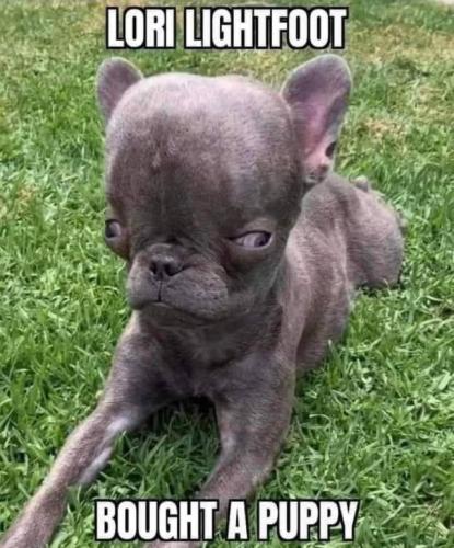 tumblr_b50d28145eda297420085f58c5e79c7a_687a7aa8_640