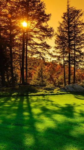 13:28:24 GMT-0500 (CDT)