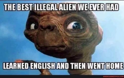 FB_IMG_1656608849614
