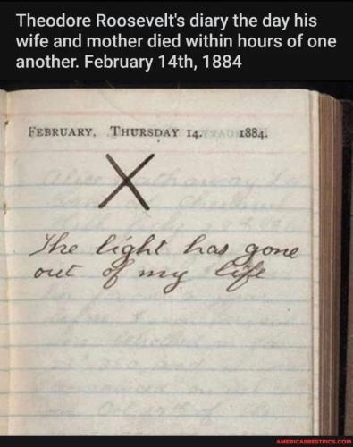 sngine_80459225fe627e34b9594423157bb23e