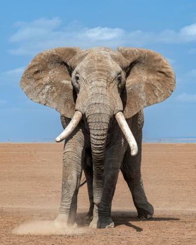 285669177_540989564142633_8106992082639862997_n