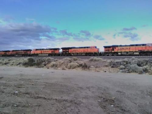 FB_IMG_1652160154758