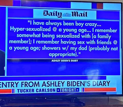 Biden Diary 1