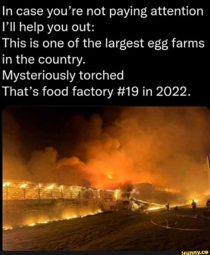 305781037830c5e90512b5aea92f1c446e32fef70a49094bbcf6e26a93eed09d_1