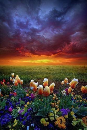 20:52:46 GMT-0500 (CDT)