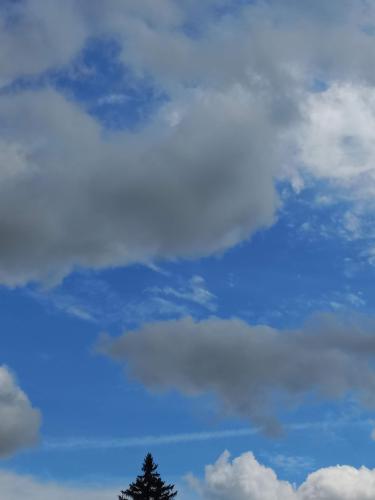 received_399214775462619