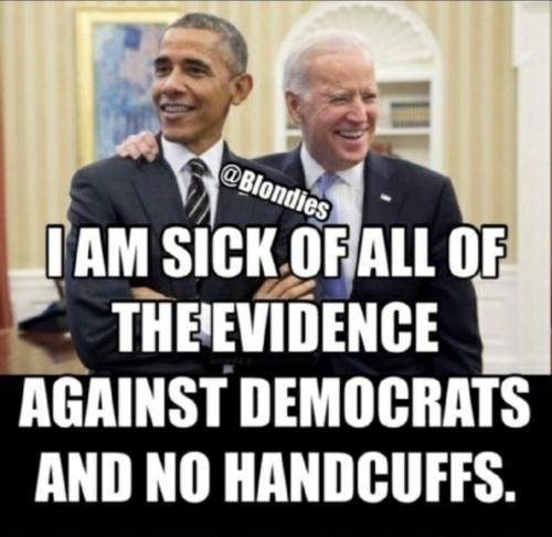 Dems Evidence 1