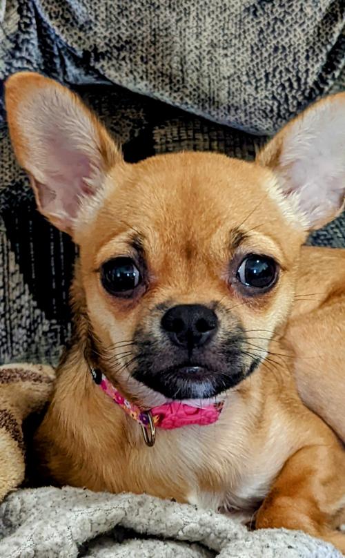 PXL_20220609_163323072~2