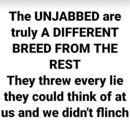 FB_IMG_1654695649706