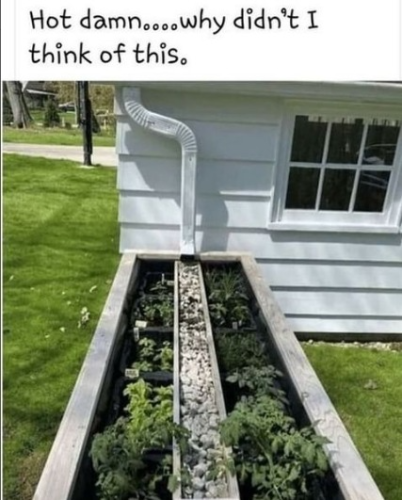 captures_chrome-capture-2022-5-1 (15)