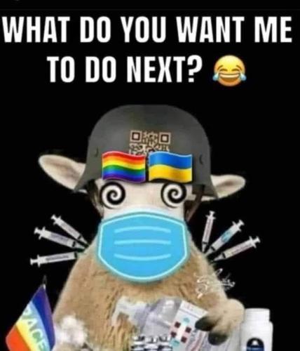 FB_IMG_1655152151463