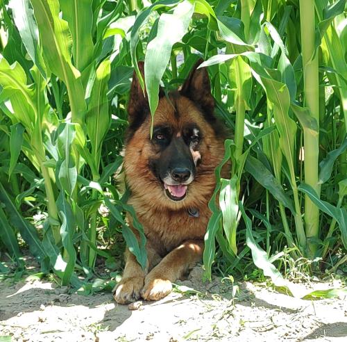 IMG_20220619_134412676~2