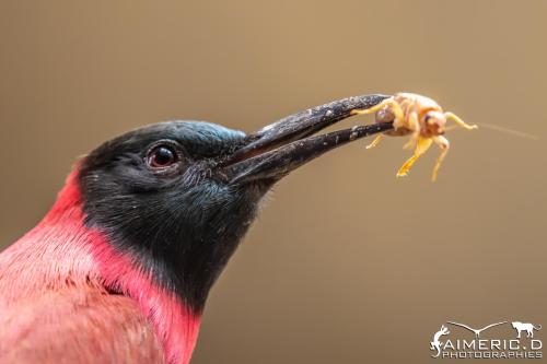 286594148_5098735670175908_4774698801323384309_n