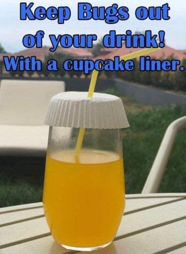 FB_IMG_1654526909971