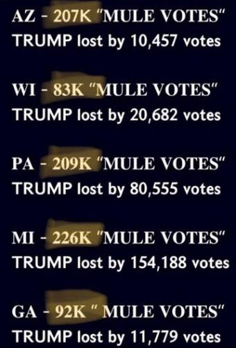 2000 mules18
