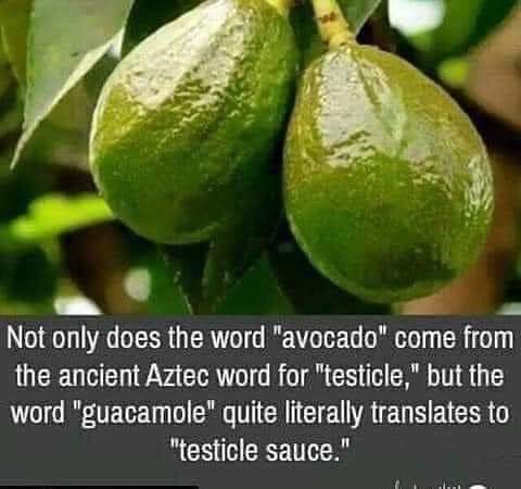 FB_IMG_1656179795239