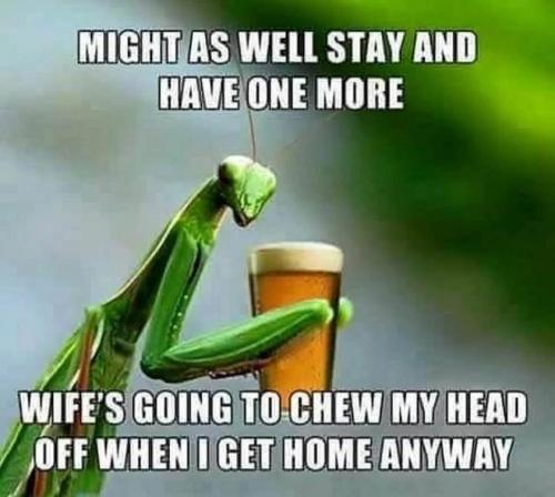 285412854_6052071724819953_8303731317512209789_n