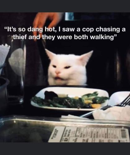 FB_IMG_1655914698113