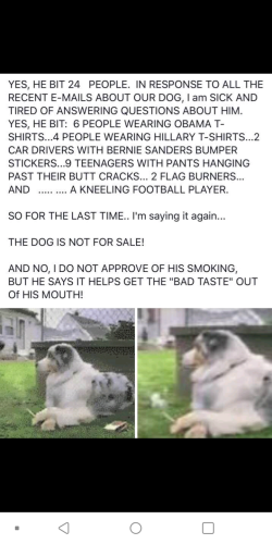 10:17:46 GMT-0400 (EDT)