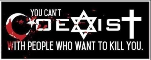 7819101acc0991de169b56b9f27a3edf_500