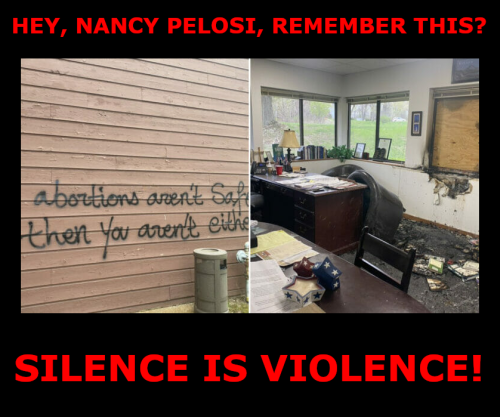 SILENCE IS VIOLENCE PELOSI