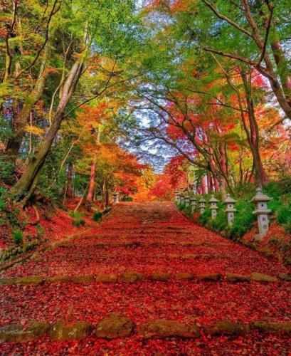 288639312_548868520200957_5883686758384086255_n