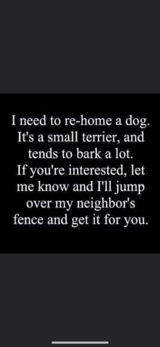 FB_IMG_1654692265421