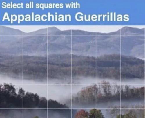 tumblr_184370ed6a3fefe7aaa7937f108f0aa1_81990337_1280