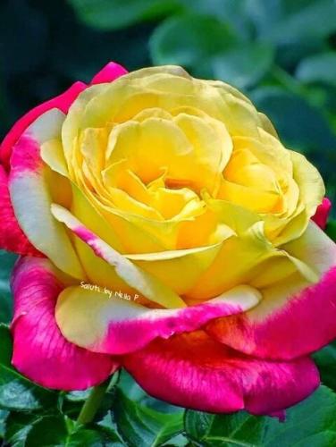 21:19:48 GMT-0500 (CDT)