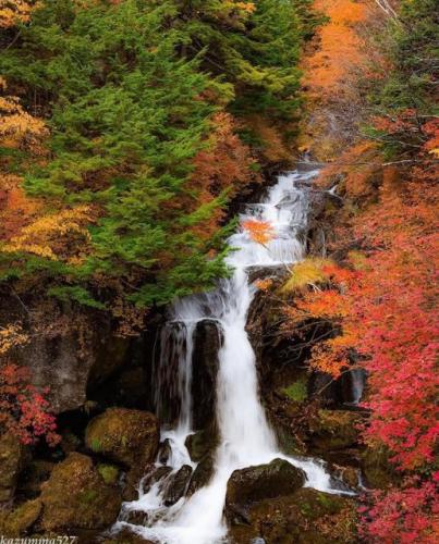 289674300_551646689923140_5279451819707321852_n