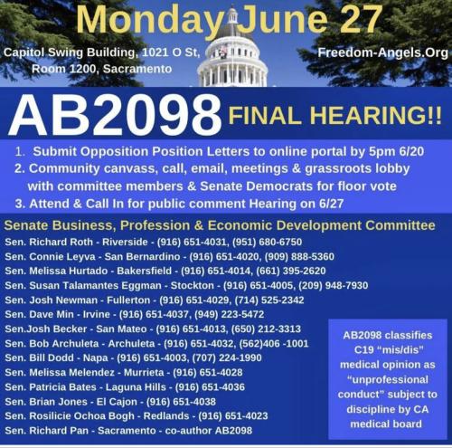 Sacramento, California - June 27, 2022 - AB2098 Final Hearing - Call to Action