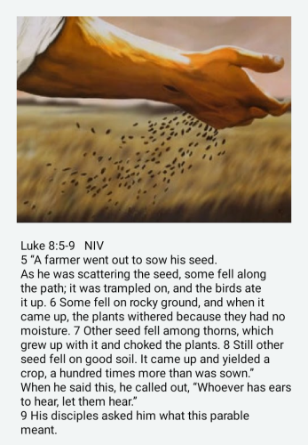 Screenshot_20220610-084525-652