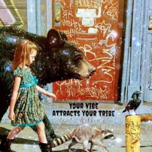 Your Vibe attracts your tribe