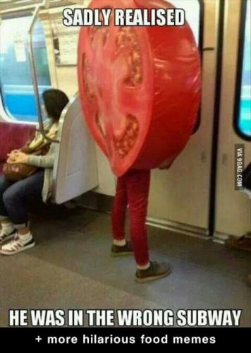 d1f5dd7bd86f83f18fb6c0bb7fa34280--so-funny-funny-pics