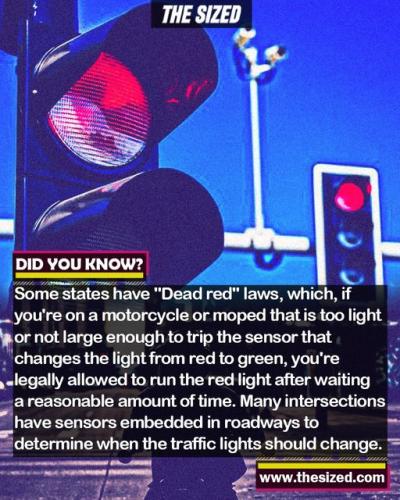 287471357_558525275713794_6533348064140956541_n