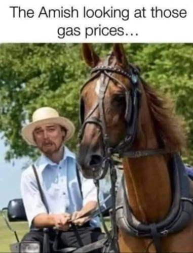 FB_IMG_1654966717997
