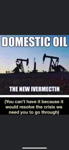 FB_IMG_1654090221068