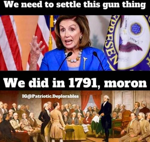 Guns Pelosi 1